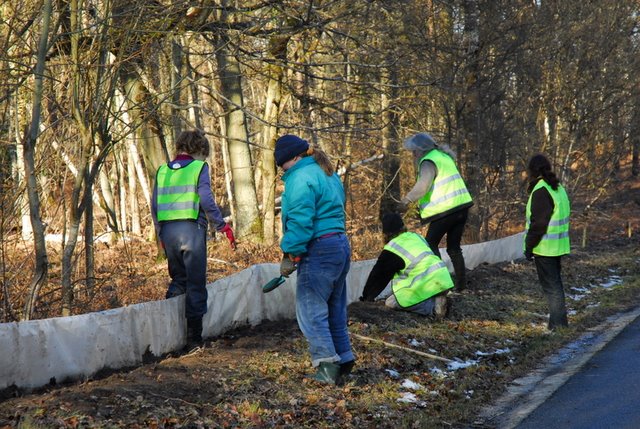 2009 Crapaudrome de Guiperreux 15